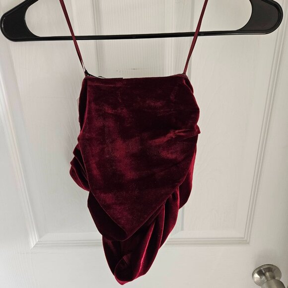 Express Velvet Tube Top - Picture 2 of 2